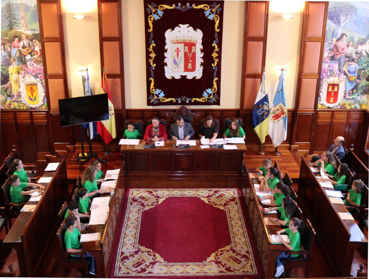 201117 Pleno Consejo Municipal de la Infancia y la Adolescencia