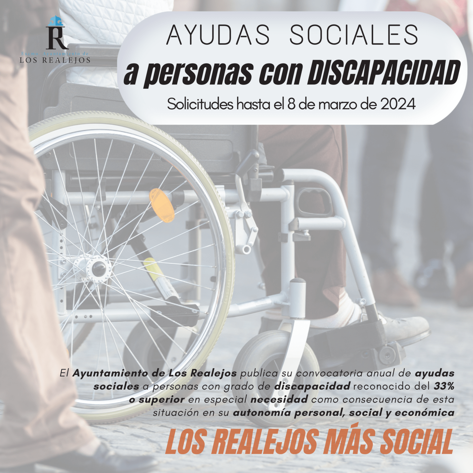 Ayudas sociales a personas con discapacidad - Los Realejos